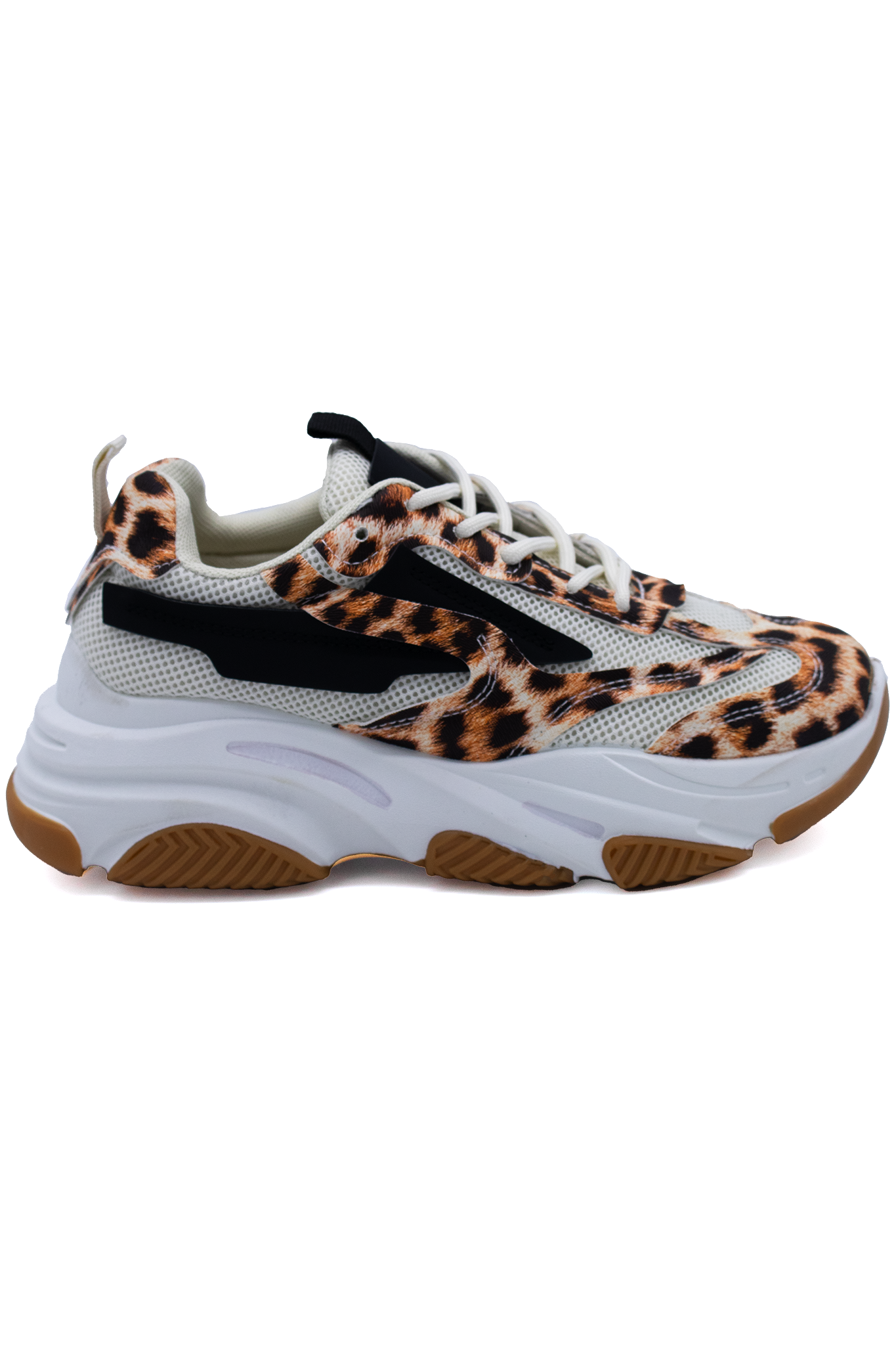 STEVEN | LEOPARD
