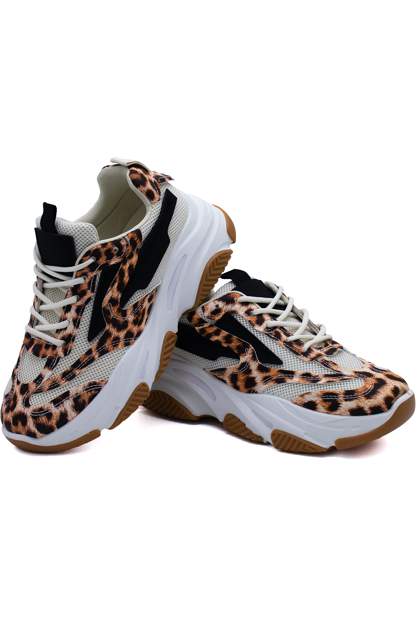 STEVEN | LEOPARD