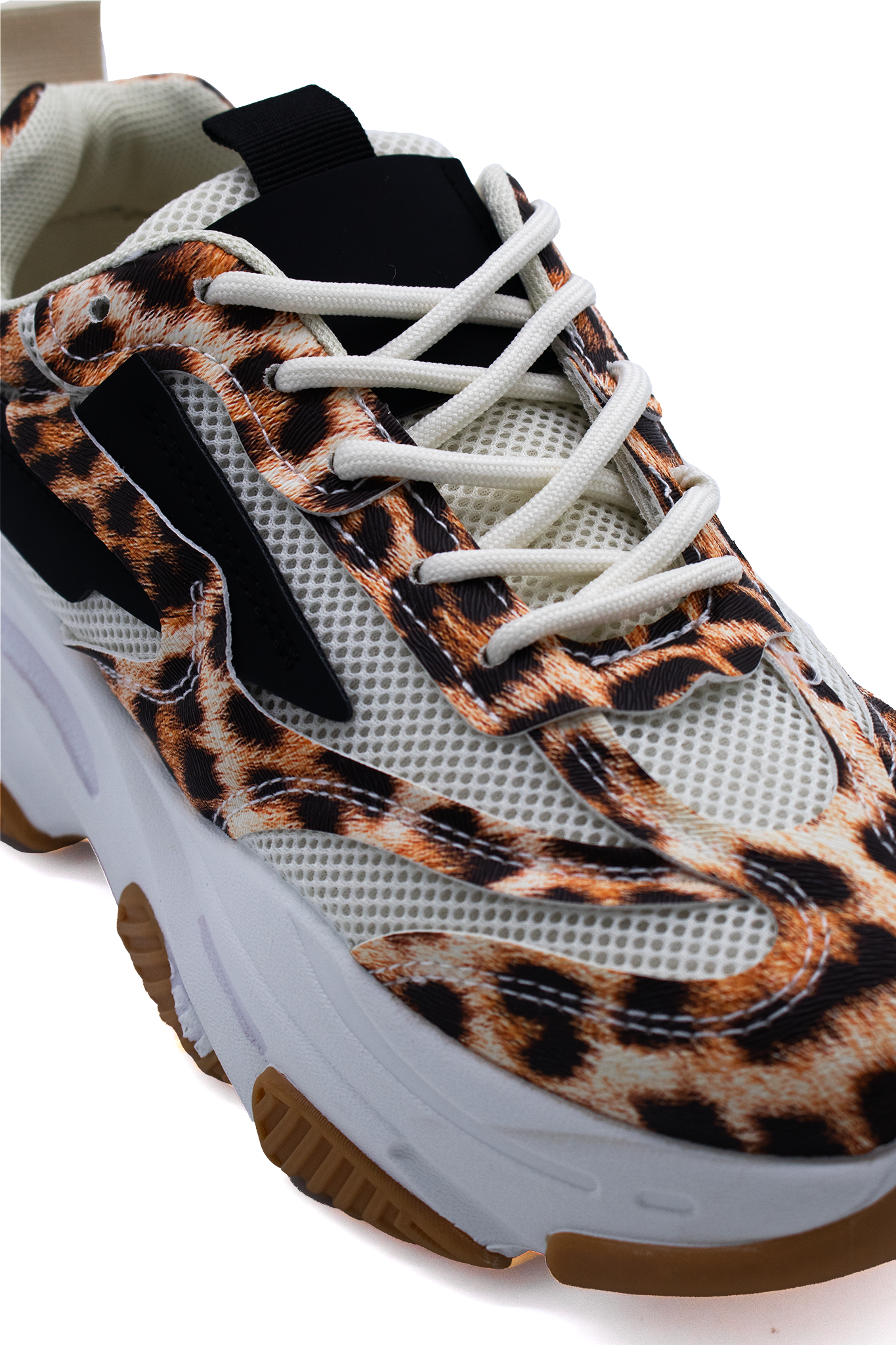 STEVEN | LEOPARD