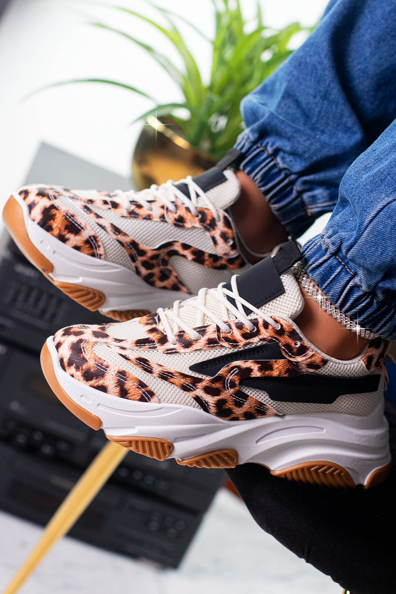 STEVEN | LEOPARD