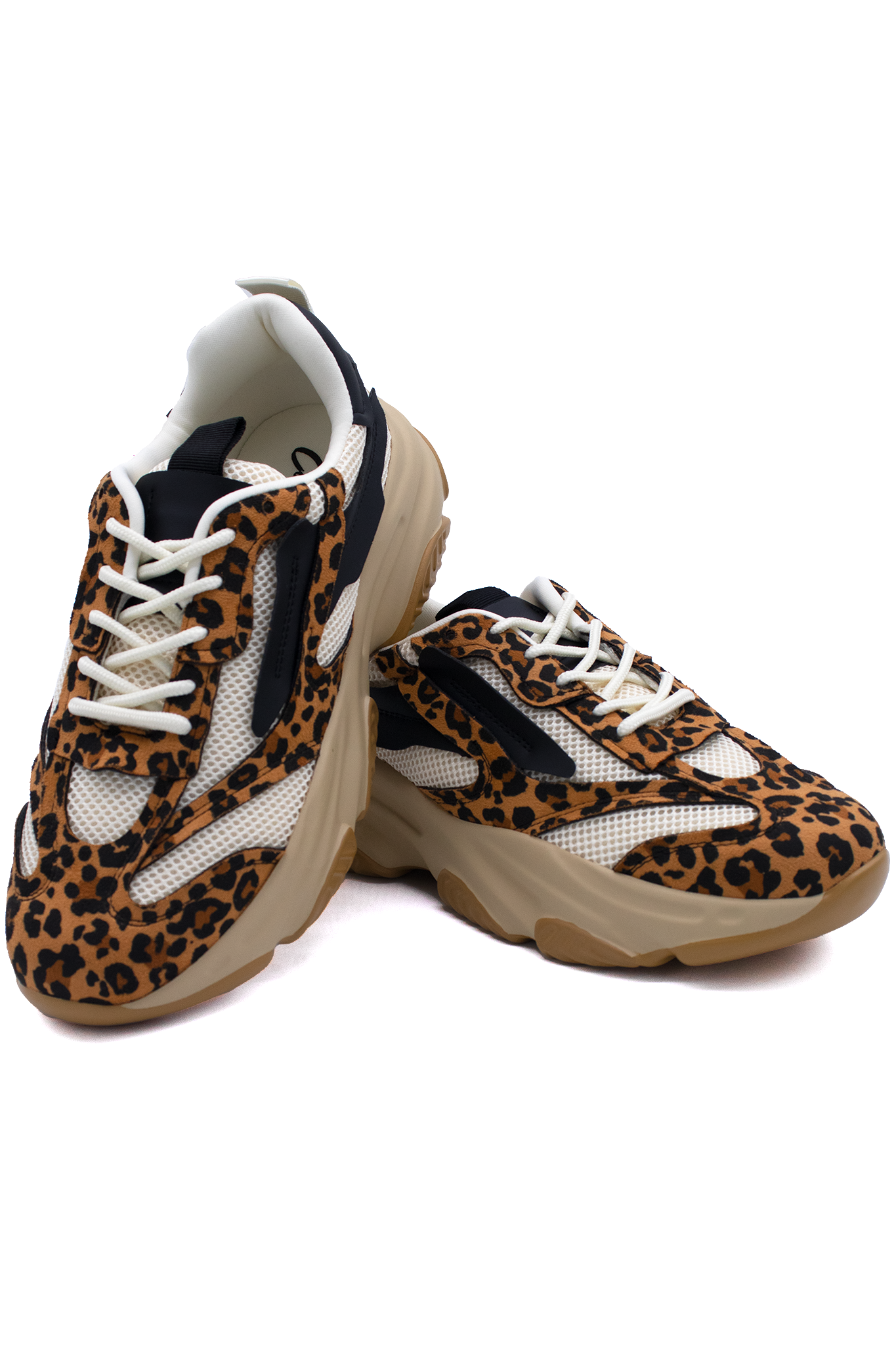JEALOUS | LEOPARD