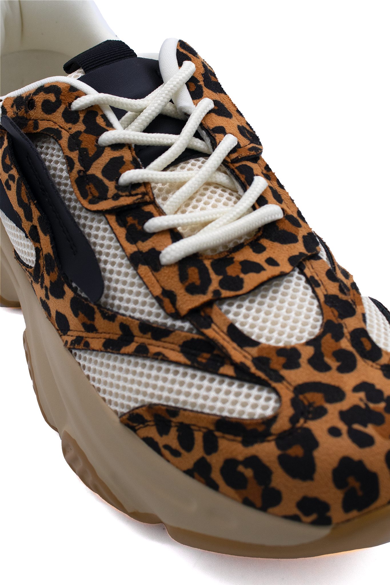 JEALOUS | LEOPARD